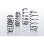 Eibach E30-20-034-02-22 Pro Lift Kit Coil Spring